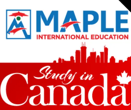 Maple International Education