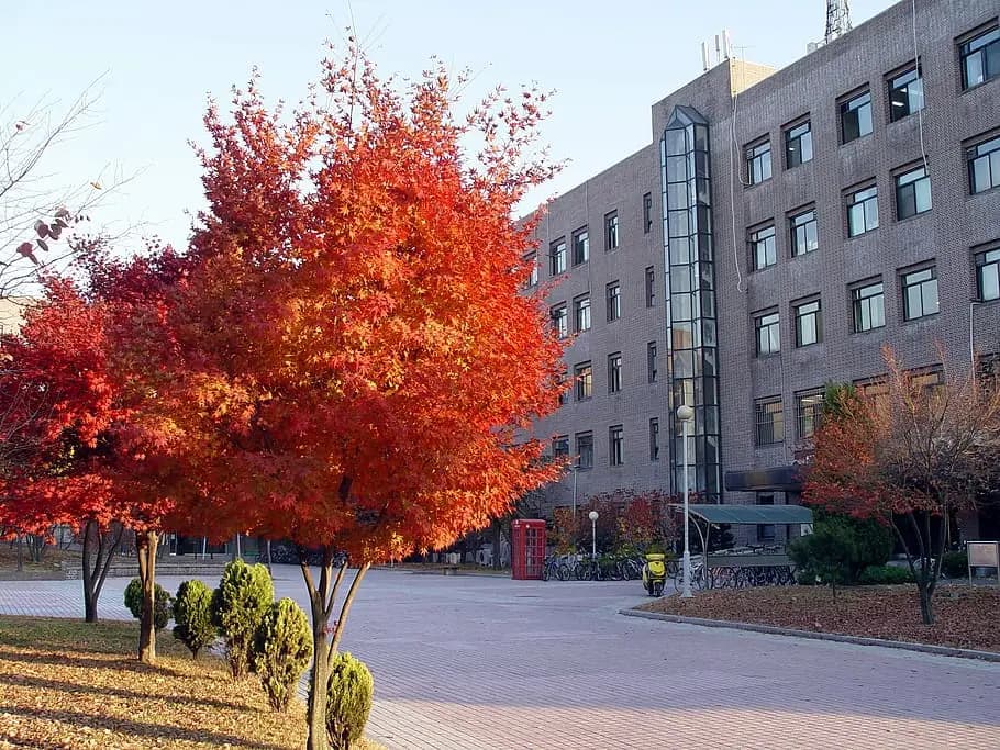Sungkyunkwan University