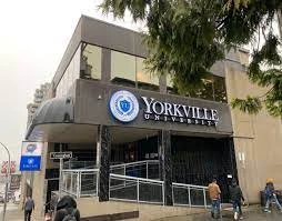 Yorkville University Yorkville University