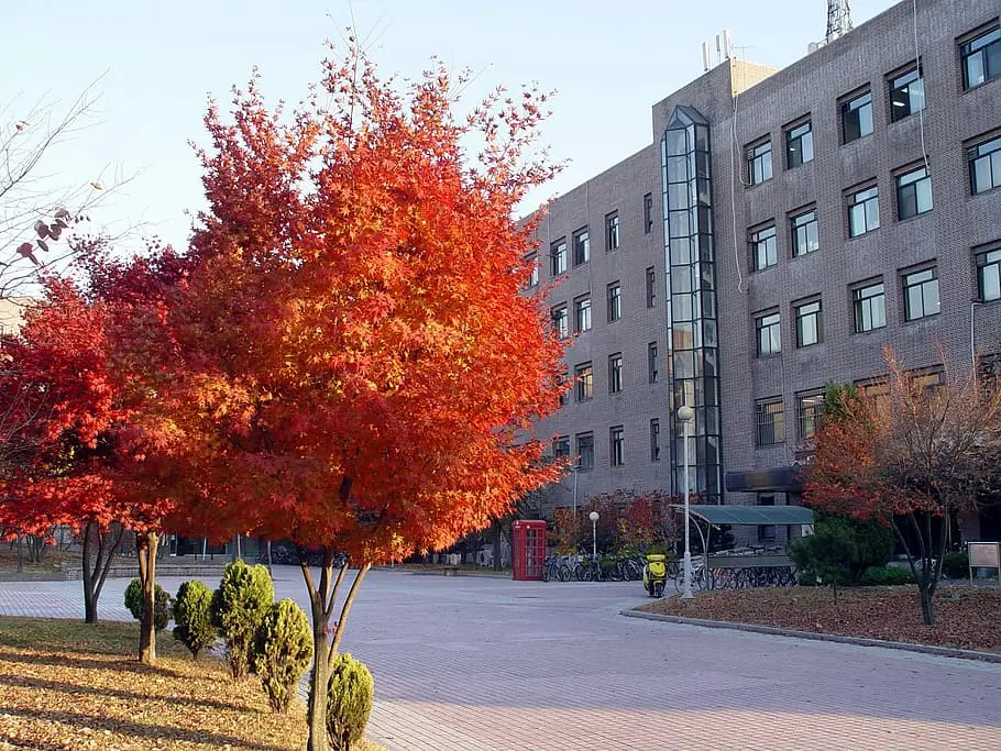 Sungkyunkwan University Sungkyunkwan University